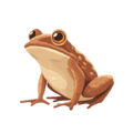 brown frog