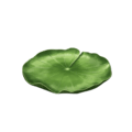 Lily Pad