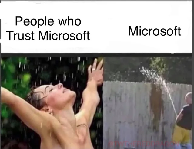 微软的信徒