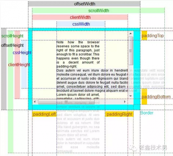 你真知道元素有多宽？1